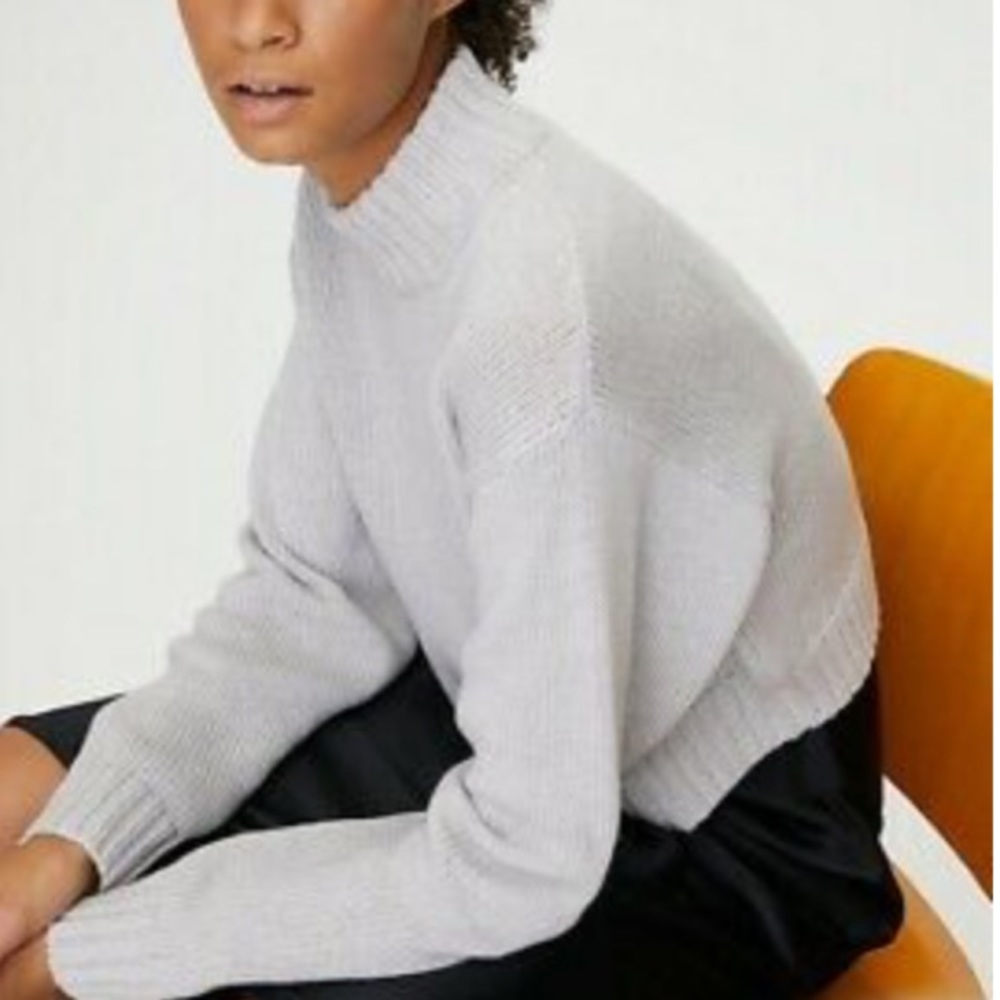 ARITZIA 'Heinen' Merino Wool Rib Trim Crop Sweater